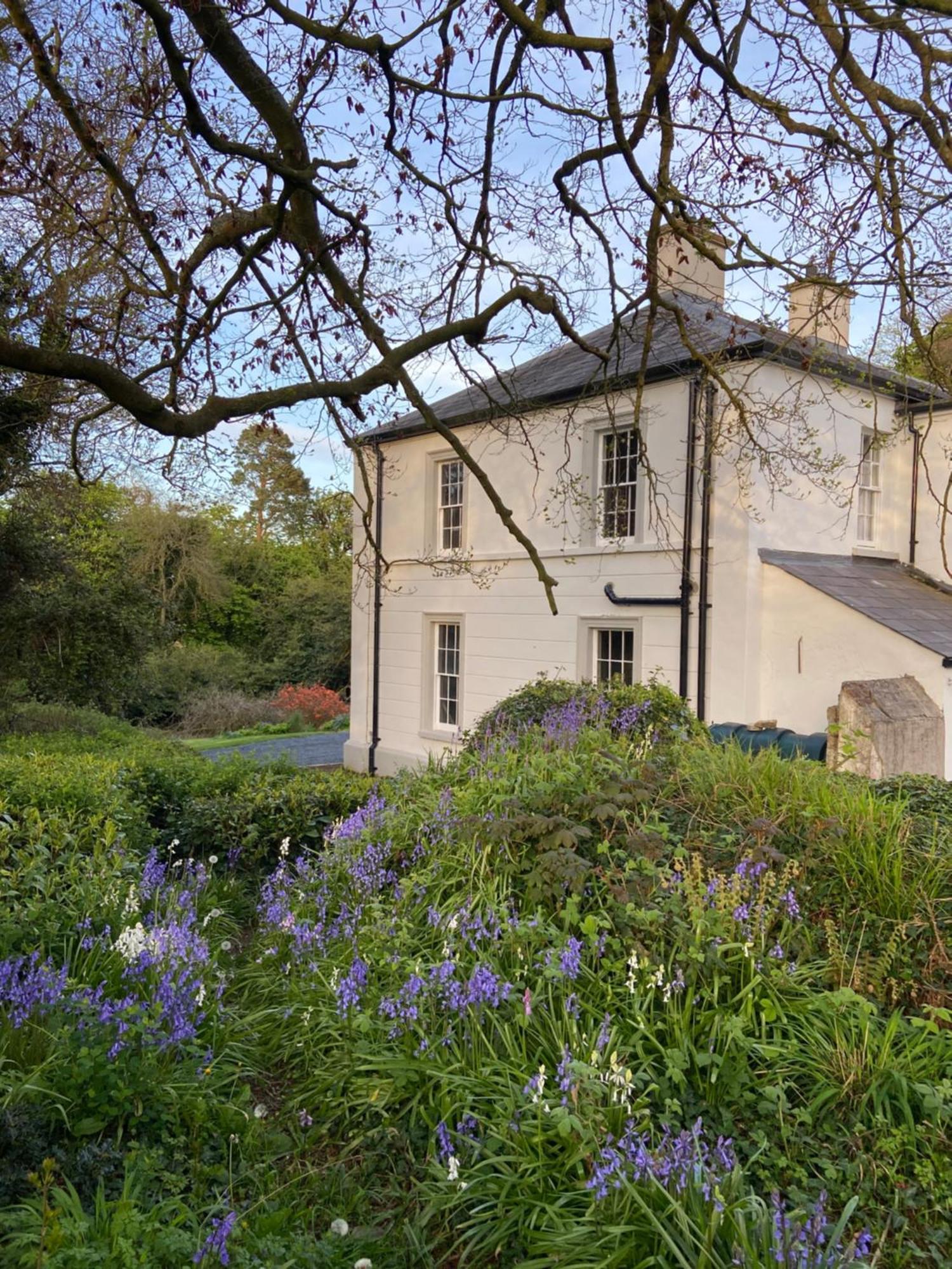 Ashville Georgian House Killinchy Eksteriør bilde