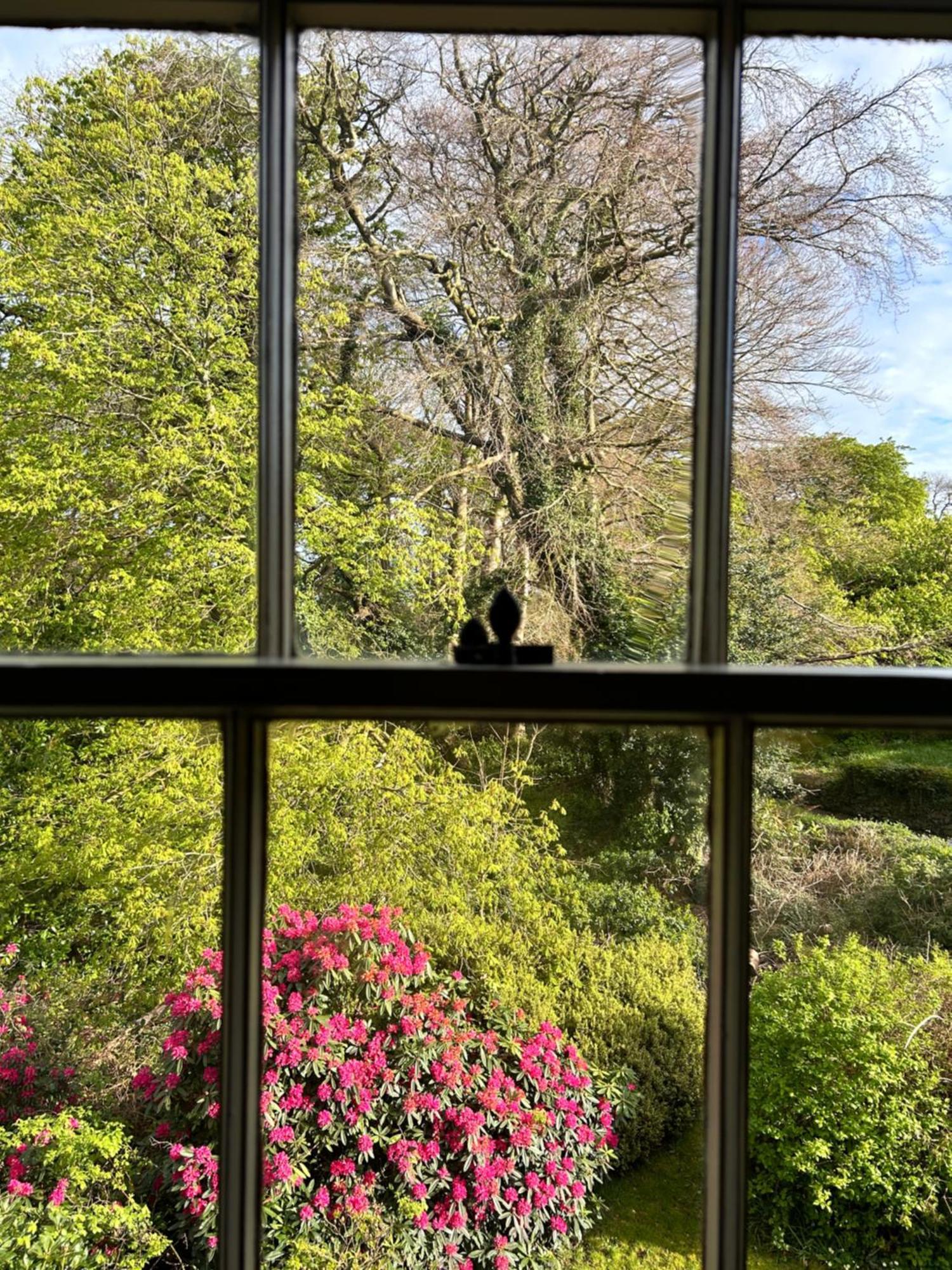 Ashville Georgian House Killinchy Eksteriør bilde